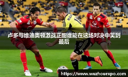 美嘉体育卢多与维迪奥顿激战正酣谁能在这场对决中笑到最后